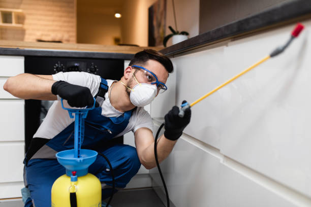 Best Local Pest Control Services  in Capron, IL
