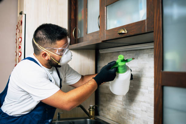 Best Emergency Pest Control  in Capron, IL