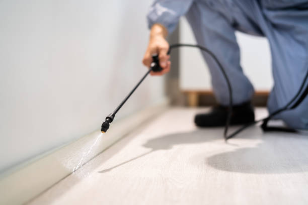 Best Residential Pest Control  in Capron, IL