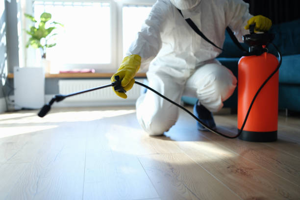 Best Termite Control Services  in Capron, IL