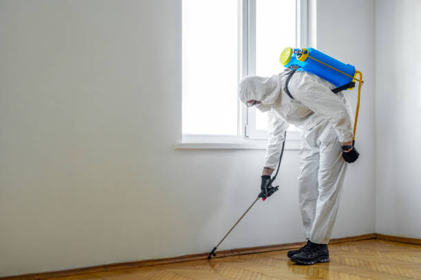 Best Flea Control Services  in Capron, IL