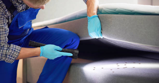 Best Cockroach Control Services  in Capron, IL