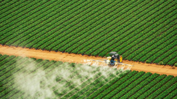Reliable Capron, IL Pest Control Solutions