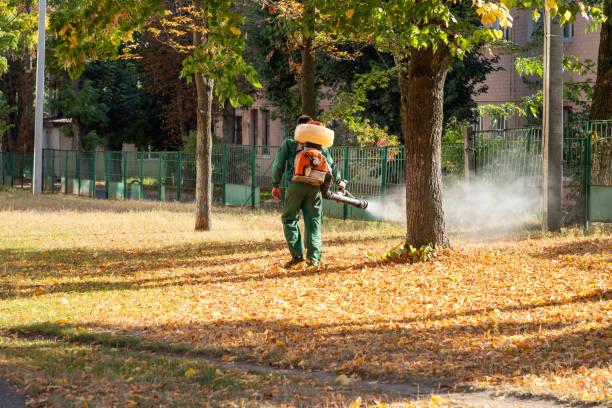 Best Affordable Pest Control Services  in Capron, IL
