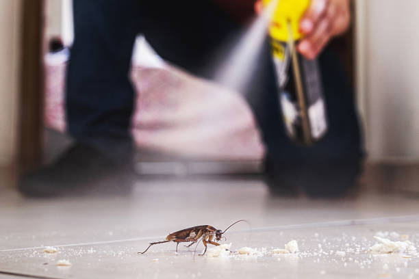 Wildlife Control Services in Capron, IL