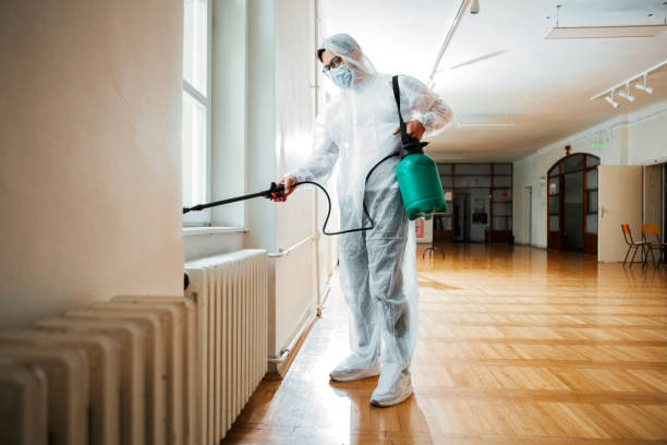 Best Termite Control Services  in Capron, IL