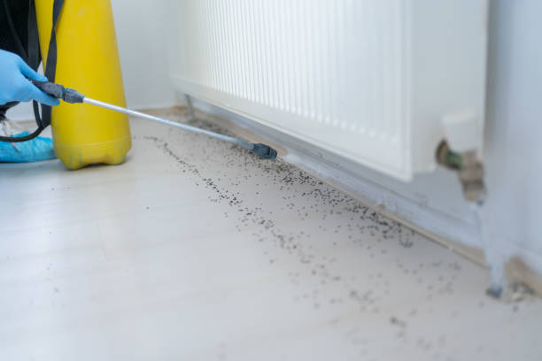 Best Pest Removal Services  in Capron, IL